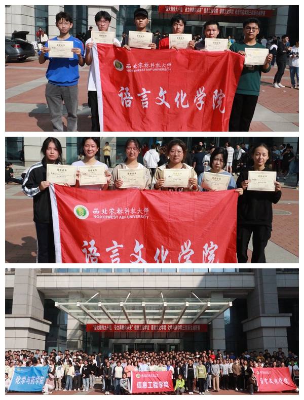 光影魔术手拼图.jpg