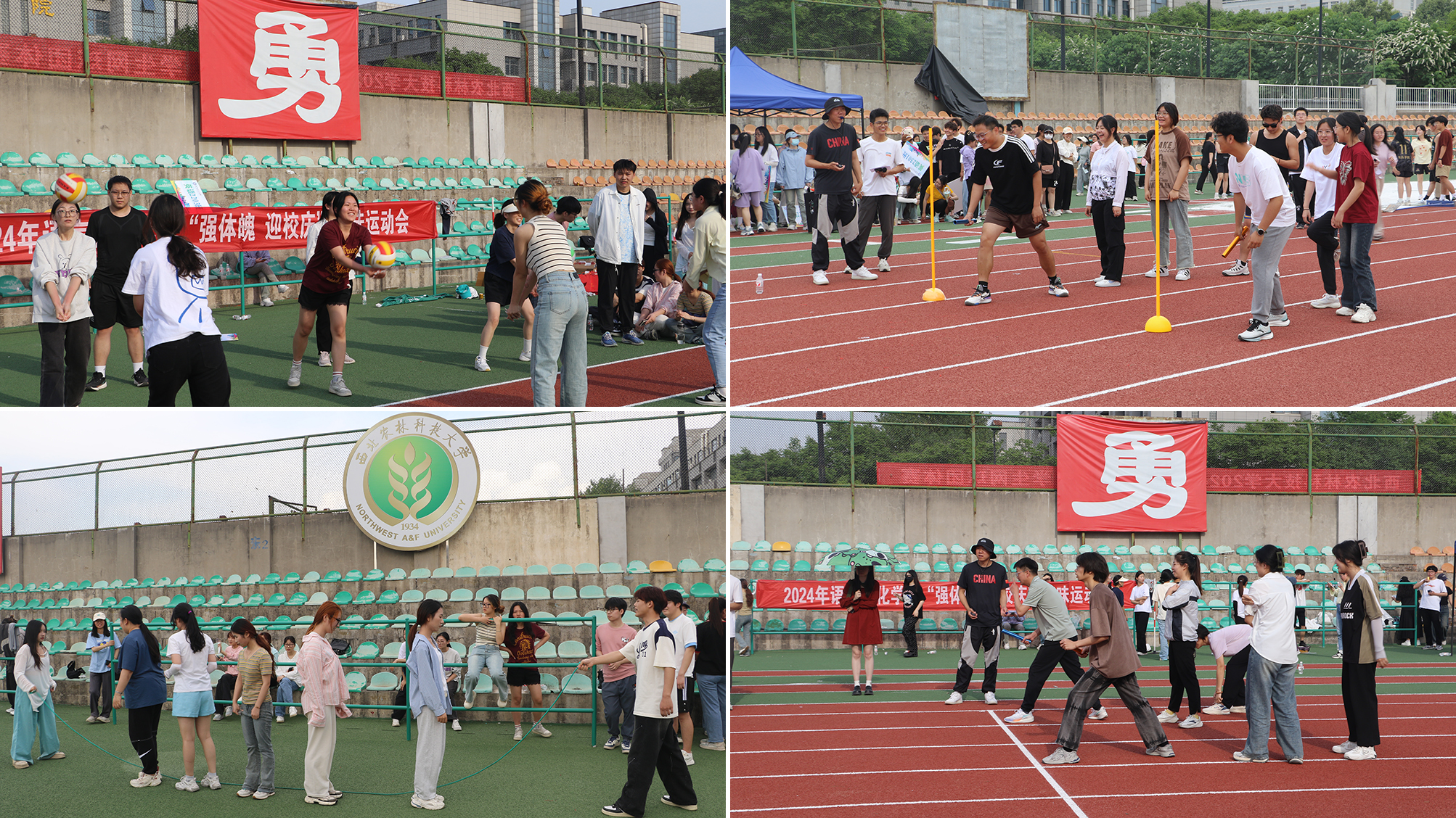 365英国上市公司“强体魄 迎校庆”趣味运动会剪影.jpg