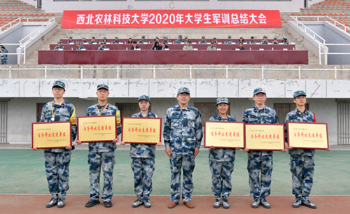 719fb58deb0749a4b24f33d9f96ca986.jpg