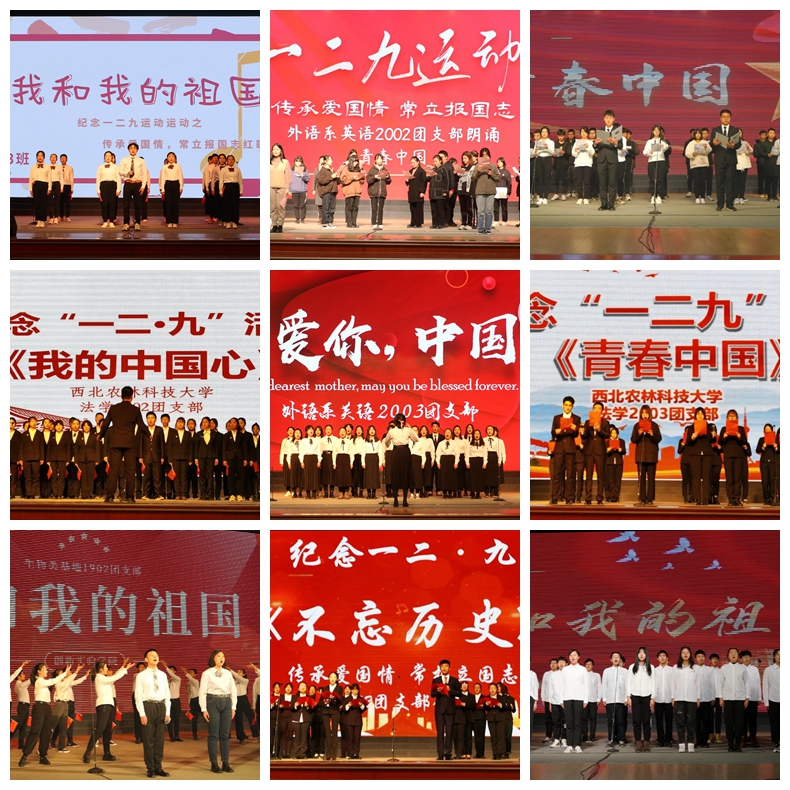 活动现场.jpg