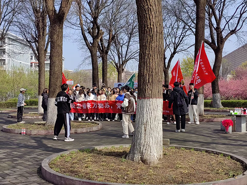 337fea4bb5d54b9eba02861023556382.png 图片1.png